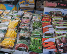 Насіння, город, зображення: Знай.ua