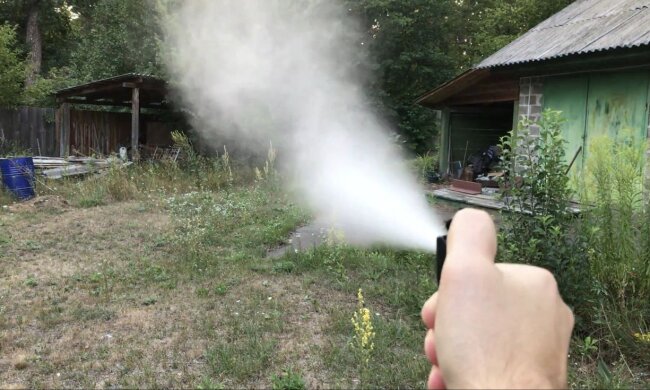 Газовые баллончики и пистолеты: Кабмин подготовил важные изменения