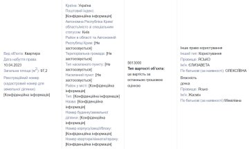 Деларкации Лизы Ясько / фото: скриншот Единого реестра деклараций