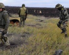Бійці АТО почали розміновувати "сірі" зони