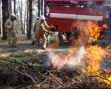 Харківщина у вогні: десятки пожеж за добу, рятувальники збилися з ніг