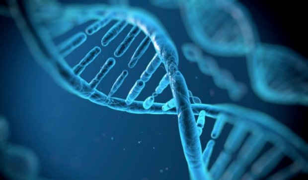 Вчені розшифрували найдавнішу людську ДНК