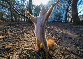 Прогноз погоды на 2 апреля, фото: Главком