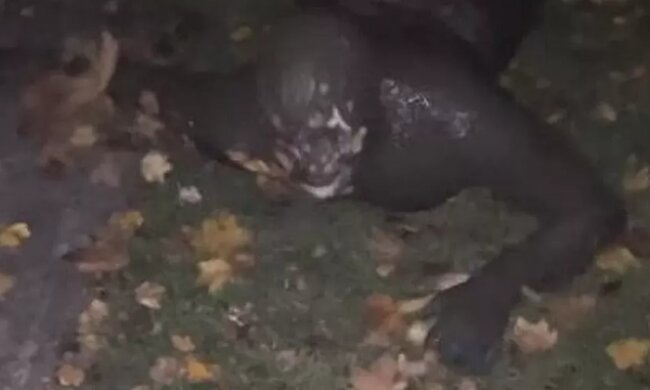 Чоловік у бруді, кадр з відео