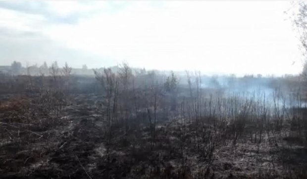 У дев'яти районах Київщини другий тиждень горять торфовища