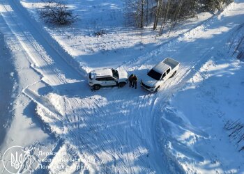 Госэкоинспекция