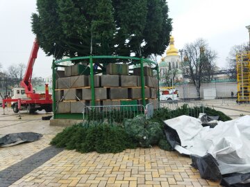 Ялинка, Софійська площа - фото Знай.ua