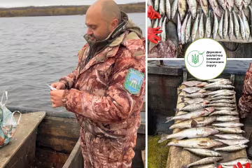 Держекоінспекція