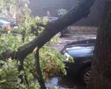 Ураган у Харкові знищив автомобілі і вбив людину