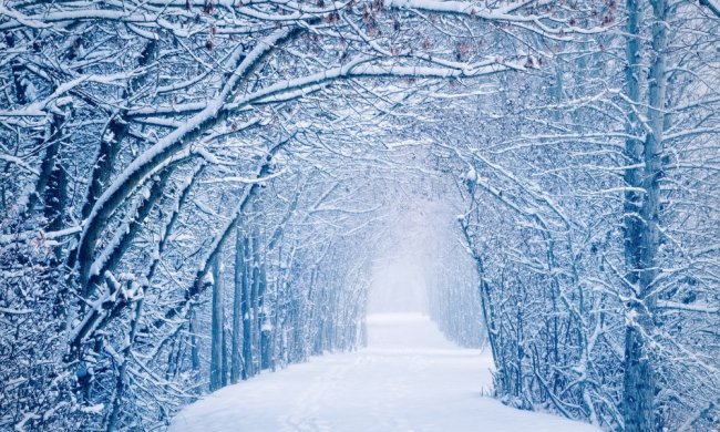 На выходные харьковчан захлестнет настоящая зима