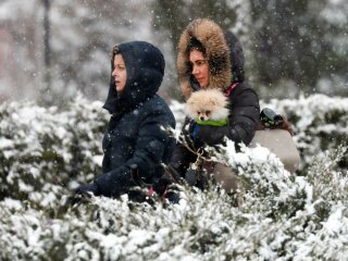 снегопад фото: reuters