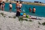 Ради удачного селфи - туристы забили палками тюленя, чтобы с ним сфотографироваться