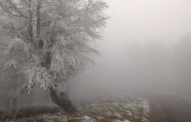 В Карпаты пришла красавица-зима: как в сказке