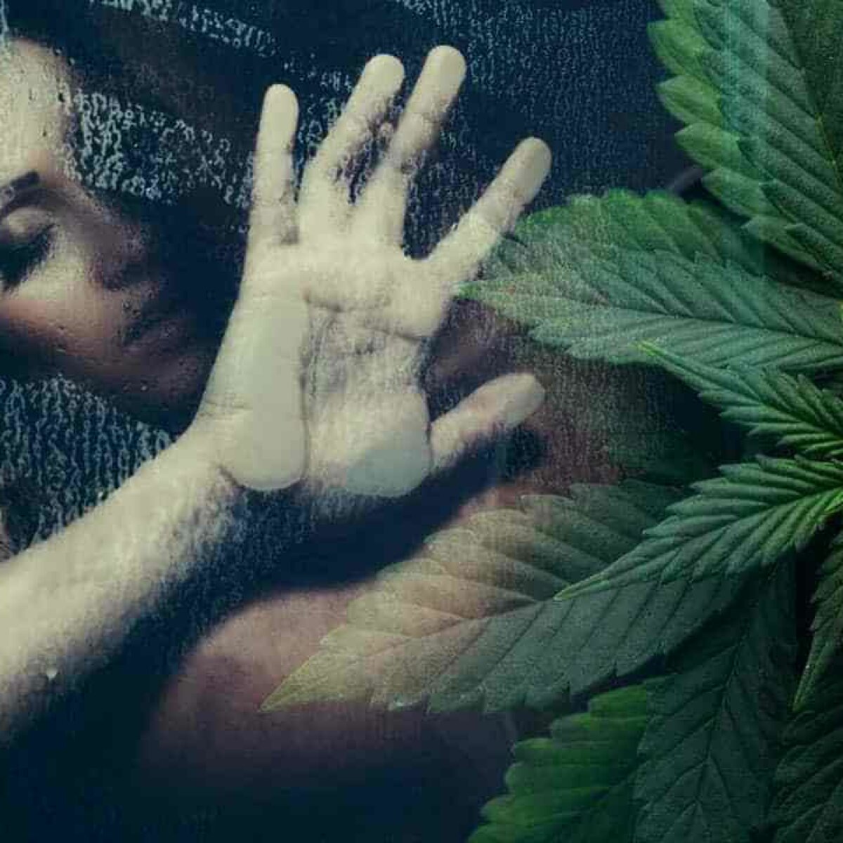 Секс под воздействием марихуаны купить спайс марихуану