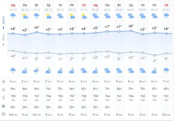 Погода в Україні, фото: скріншот