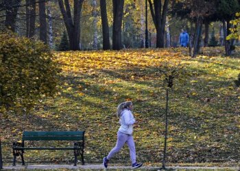 Осень, фото: Unian