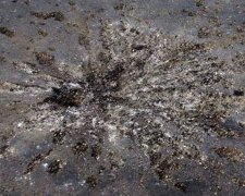 На лінії розмежування чоловік підірвався на вибухівці