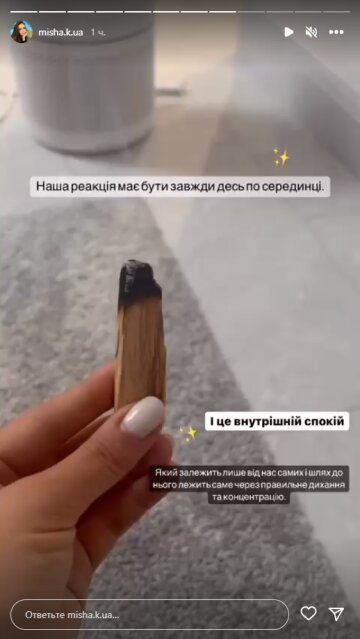Ксения Мишина, скриншот: Instagram Stories