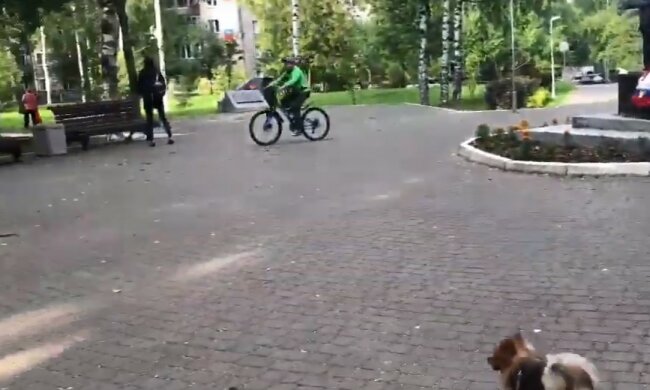 прогулянка в парку, скріншот з відео