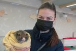 фото: Центр поводження з тваринами