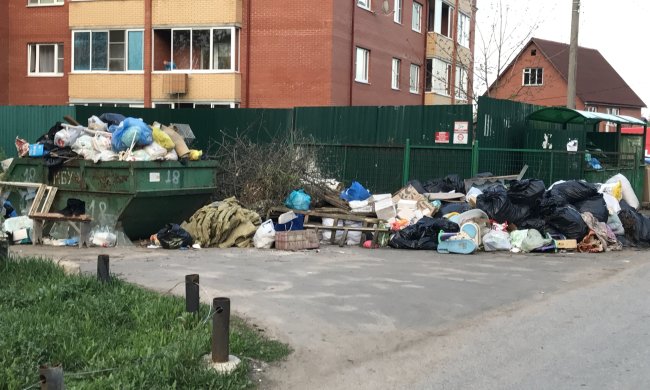 Дніпрянин зібрався з духом і викинув ялинку: регоче усе місто, до Нового року трохи "не дотягнув"