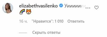 Коментарі до спільного фото Єгора Кріда і Лізи Василенко, скріншот: Instagram