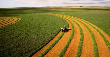 Купити землю в Україні стане простіше: у Зеленського пояснили, як отримати заповітний клаптик чорнозему