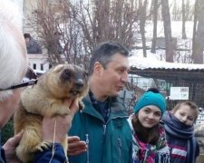 Львівський бабак передбачив довгоочікуване тепло
