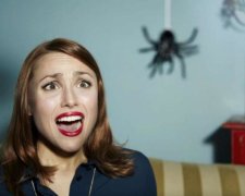 Непрохані гості: як прогнати павуків з дому