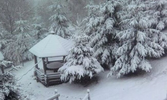 Карпати завалило снігом