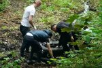 Львовяне взялись за веники и сделали работу Садового - вы не узнаете "Ореховую рощу"