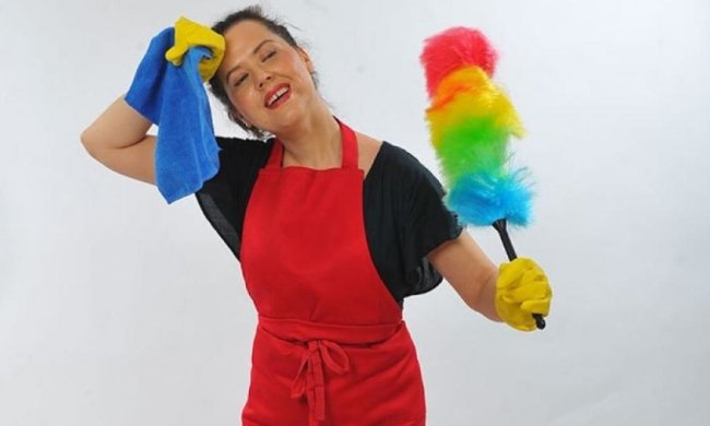 Британка не прибирала у будинку 30 років