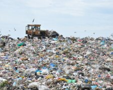 Грибовицьке сміттєзвалище, фото "Суспільне"