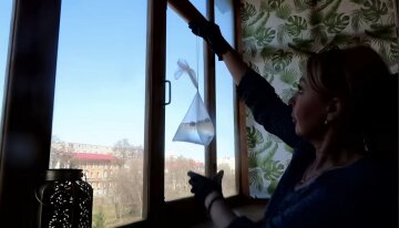 Боротьба з мухами: фото скрін Ютуб