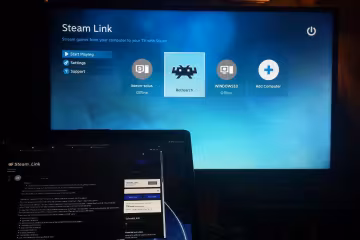 Steam