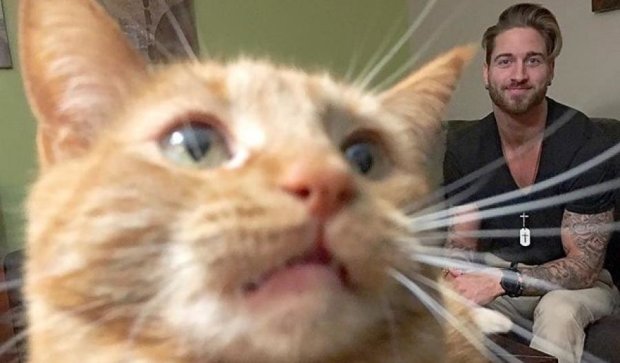 Австралиец сделал своего кота звездой соцсетей