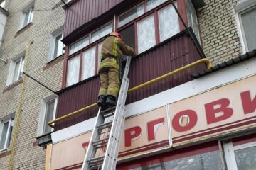 Співробітники ДСНС врятували жінку на балконі від переохолодження, фото: ДСНС