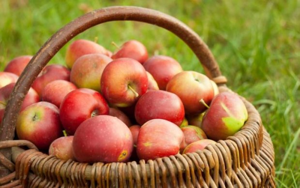 Яблочный спас 2018: в чем главная опасность этого продукта