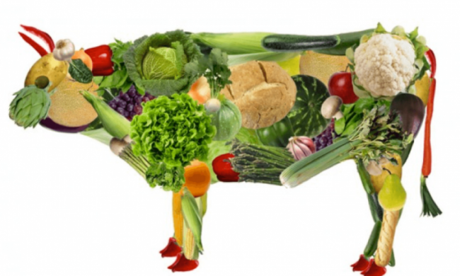 Вегетаріанство: плюси і мінуси зміни раціону