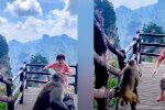 Мавпа вкрала сумку в Китаї, фото: скріншот з відео