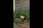 С*кс и ненависть в Ставрополе: горе-любовники в кустах получили доской от боевой бабули