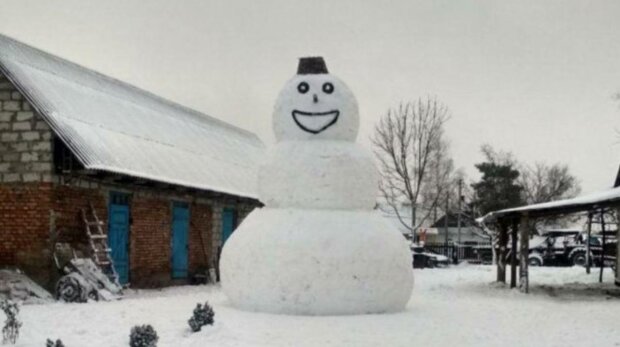Снеговик, фото: социальные сети