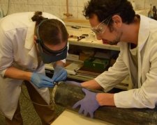 Польські археологи знайшли капсулу з речами нацистів