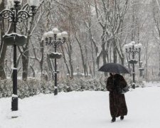 За принципом шахів: стихія почала нову гру