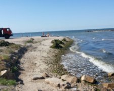 Азовське море на межі, Кримський міст добиває все живе: моторошні кадри