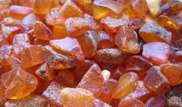 Житомирские бандиты стреляли в местных жителей из-за янтаря