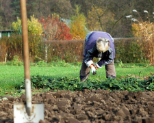 Город, зображення з вільних джерел