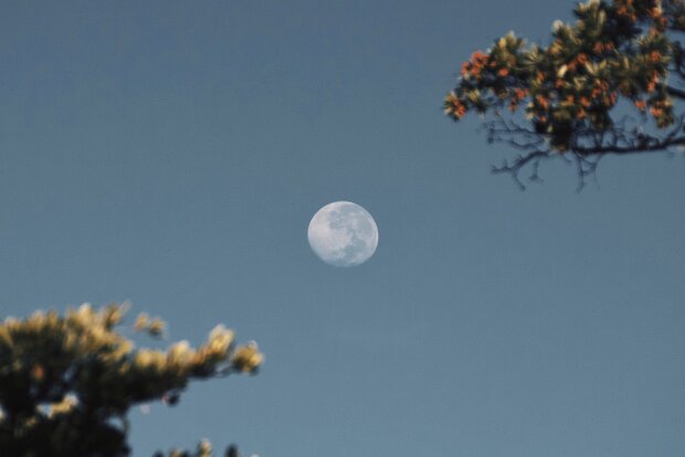 Місячний календар стрижок на листопад 2020, фото - Рexels