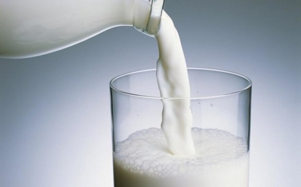 Этиловый спирт будут производить из отходов переработки молока