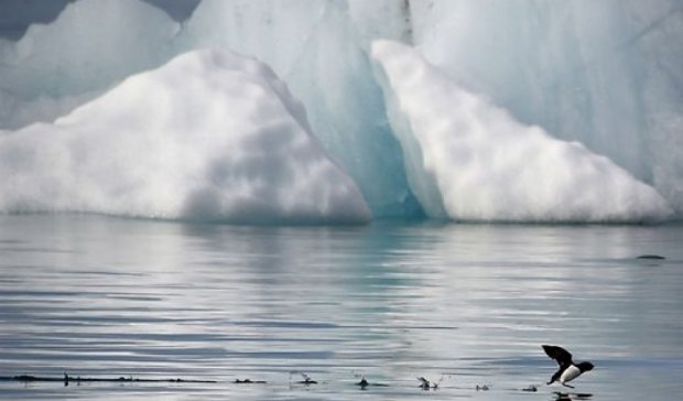 В Гренландии раскололся ледник: уровень океана может подняться на полметра
